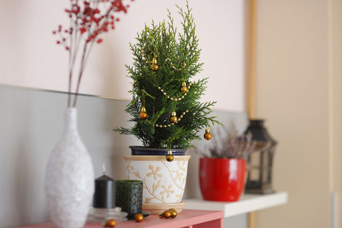 Weihnachtsdekoration_Buero_02